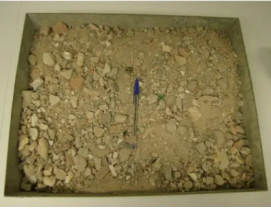 Figura 3.   Amostra 1 