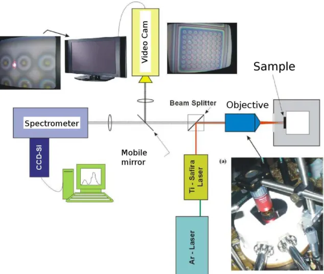 Figure 2.5: Microphotoluminescence experimental setup.