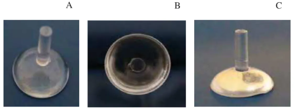 Figura 4 – Corpos-de-prova de resina utilizados para formação de biofilme. a)  vista frontal, b) base corpo-de-prova e c) vista lateral