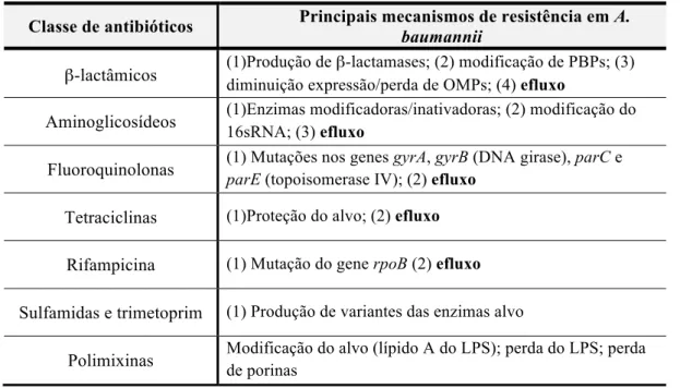 Tabela  1  -  Principais  mecanismos  de  resistência  aos  antibióticos  em  A.  baumannii  (Adaptado de 49)