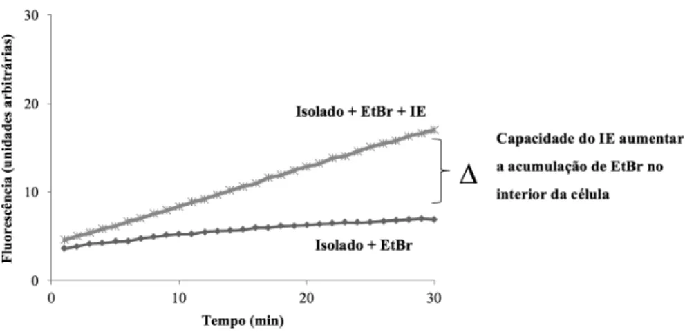 Figura 5 - Representação gráfica de um ensaio de acumulação de EtBr. 