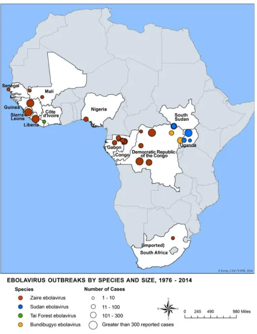 Fig. 8 Ebola virus outbreaks by species and size between 1976 and 2014 (CDC, 2015). 11