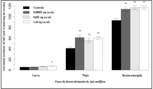 Figura 5 – Efeitos de concentrações subletais do tiametoxam sobre a atividade enzimática da  acetilcolinesterase  (AChE)  em  larvas,  pupas  e  operárias  recém-emergidas  em  condições  laboratoriais