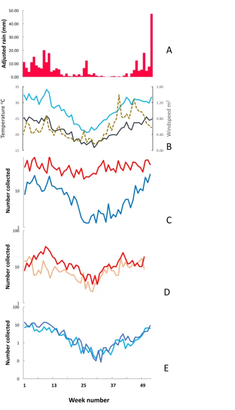 Figure 6 Weekly mean adjusted rain, soil temperature, air temperature, windspeed and mosquito numbers