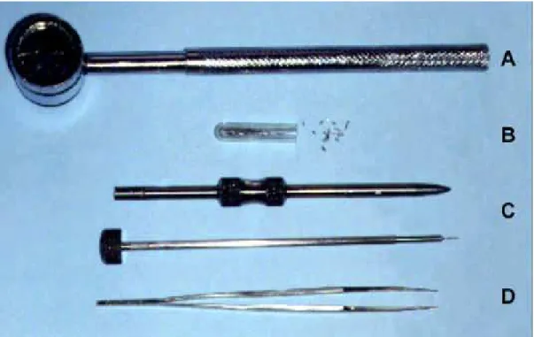 Figura 1  - Instrumentos utilizados na colocação de implantes: A)martelo  cirúrgico,B) implantes,C) cilindro,D) pistão e E) pinça