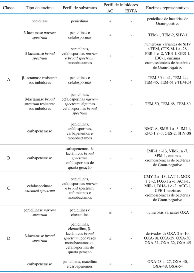 Tabela 3:  Classificação  e propriedades  das  β-lactamases  segundo Ambler. (AC)  Ácido clavulânico, (+)  ativo, (-) inativo, (±) ação variável