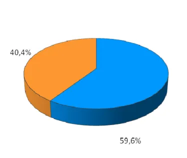 Figura 8: Distribuição da população em estudo por faixas etárias, em percentagem. 