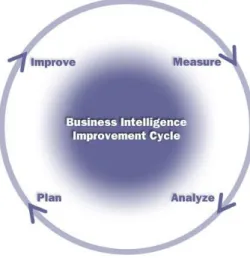 Figura 4. BI Improvement Cycle [9] 