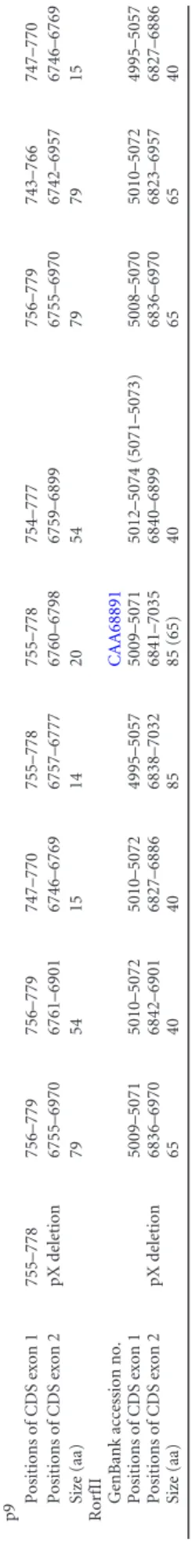 FIG 3 p5 is a cytoplasmic and nuclear protein. (A) p5 amino acid sequence (PPA-F3 strain)