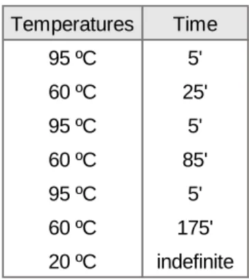 Table 1: Thermal cycling program for bisulfite conversion using the EpiTect Bisulfite Kit (Qiagen)
