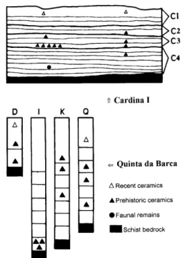 Figure 1. Profile of Cardina 1 and four excavation sequences from Quinta da Barca, lower Côa valley.