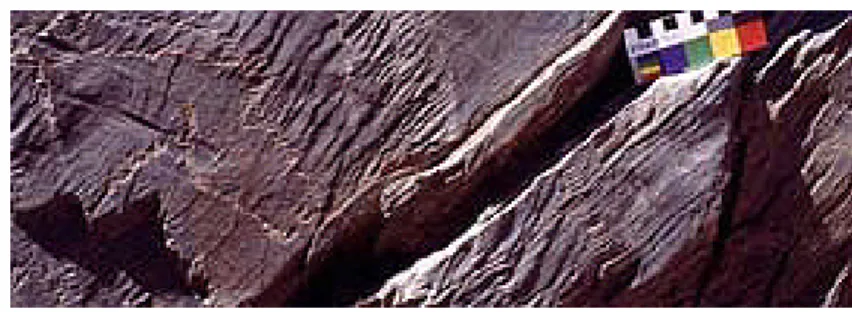 Figure 7. Typical Siega Verde petroglyph, Agueda valley, Spain, showing negligible weathering and no fluvial wear.