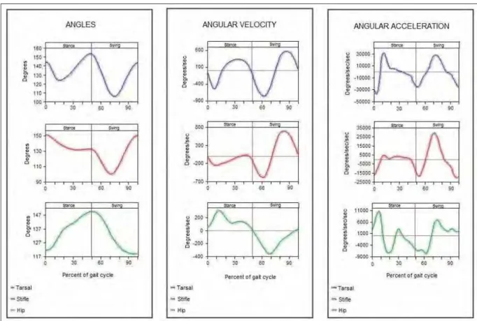 Figure 2 Graphics of flexion and extension angles, angular acceleration and angular velocity for  forelimbs