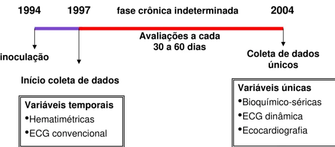 Figura  1.  Representação  gráfica  da  ordem  cronológica  das  avaliações  realizadas  neste  estudo,  iniciado  no  ano  de  infecção  experimental  dos  treze  cães,  com  tripanosomatídeos,  estendendo-se  até  o  ultimo  momento  de  análise  (2004),