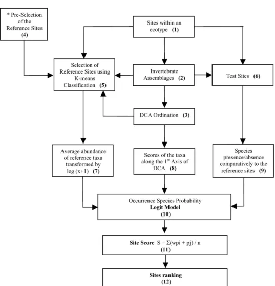 Figure 1. Main steps in the development of the model to assess the environmental disturbance of river sites