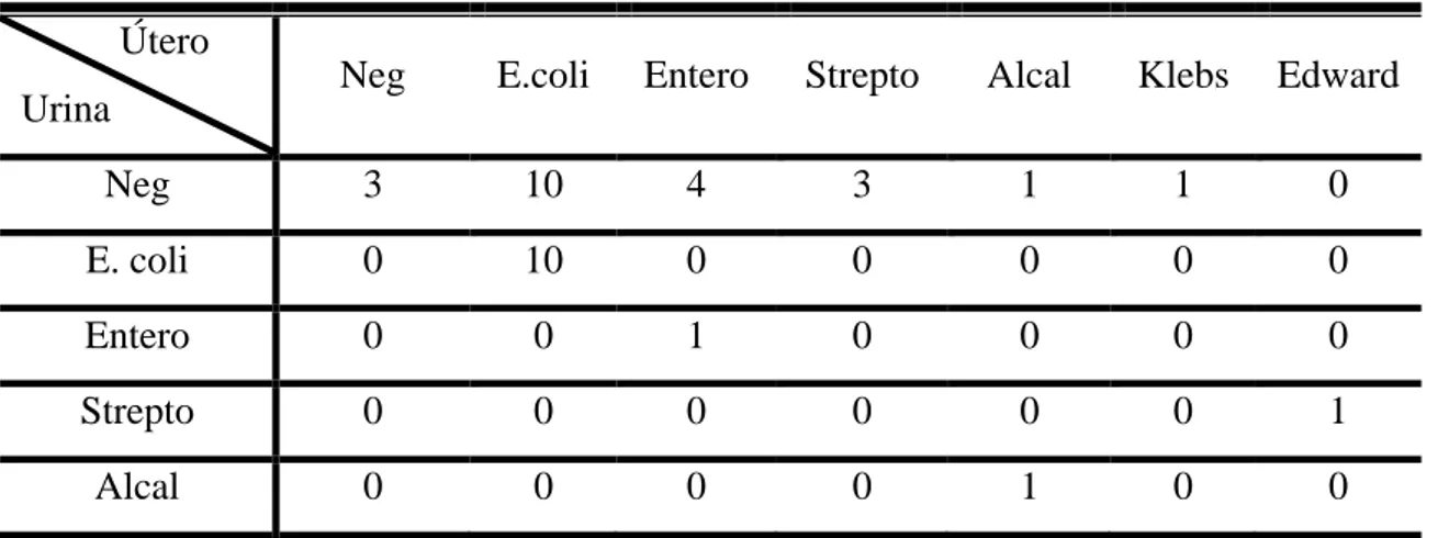 TABELA 05:  Número de fêmeas e bactérias isoladas: Escherichia coli (E. coli),  Enterobacter sp (Entero), Streptococcus sp (Strepto), Alcaligenes faecalis (Alcal),  Klebsiella pneumoneae (Klebs), Edwardsiella tarda (Edward) no conteúdo uterino,  vesical e 