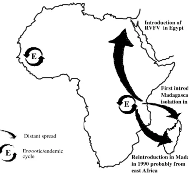 Fig. 2: possible modes of circulation of Rift Valley fever.