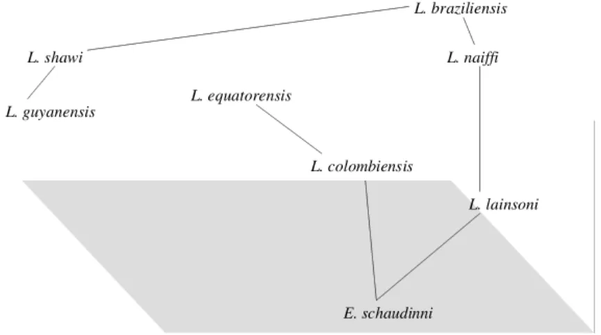 Fig. 1: principal coordinate analysis of the multilocus enzyme electrophoresis data. The three principal coordinates were claculated by Euclidian distance and plotted in 3D scale (the three principal coordinates represent 67.51% of the total variance)