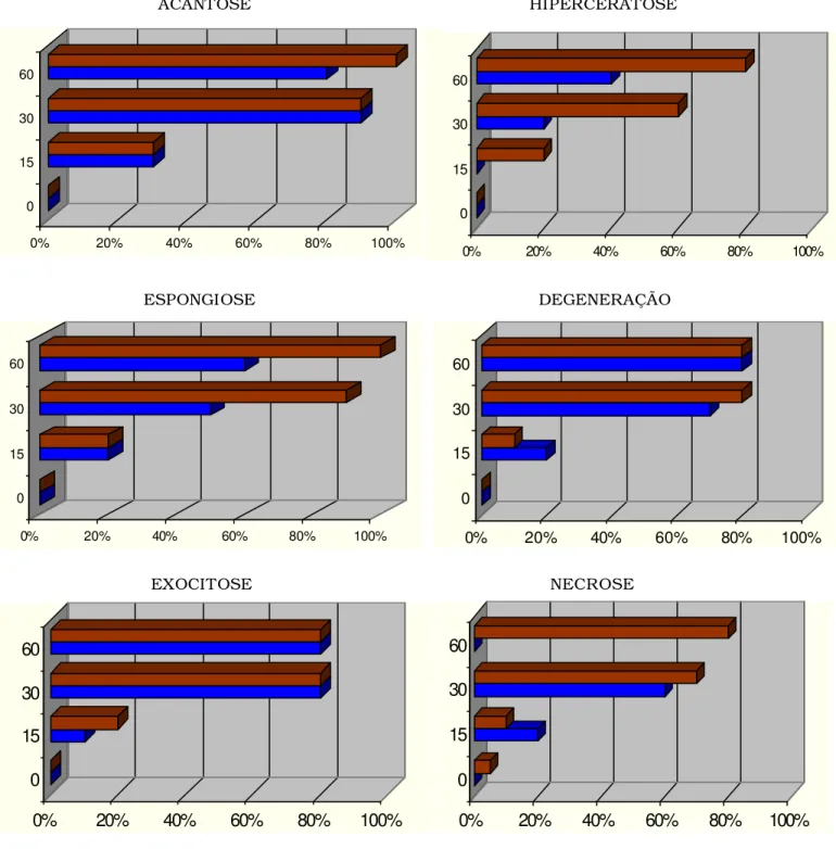 FIGURA 04.Percentual das  principais alterações dermatopatológicas epidérmicas em relação ao sexo,   machos (azul) e fêmeas (vermelho), e aos dias após inoculação, em gatos (Felis catus) com  esporotricose experimental