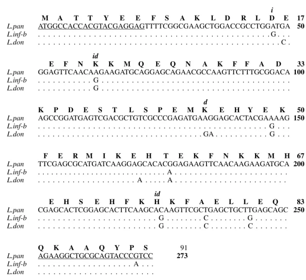 Fig. 3: sequence of the PCR-amplified Leishmania (V) panamensis KMP-11 coding region. The sequence is compared with the coding region of  Leishmania (L) infantum (gene B) (Berberich et al
