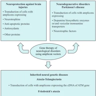 Fig. 6: summary of gene therapy strategies using amplicon vectors.