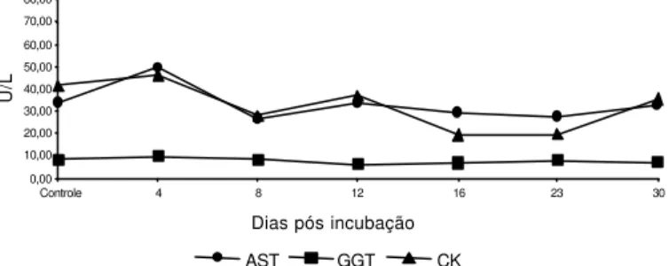 Fig. 2. Valores médios dos níveis de aspartato aminotransferase (AST), gama glutamiltransferase (GGT) e creatina kinase (CK) de  bovi-nos Nelores infectados experimentalmente com  Trypabovi-nosoma vivax, isolado, Poconé, MT.