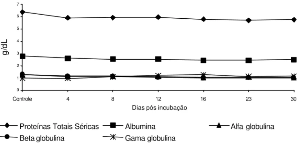 Fig. 5. Valores médios do perfil eletroforético das proteínas séricas (mg/dL) de bovinos Nelore infectados experimentalmente com Trypanosoma vivax, isolado, Poconé, MT.