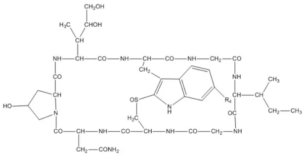 Figure 1. Chemical structure of α-amanitin 