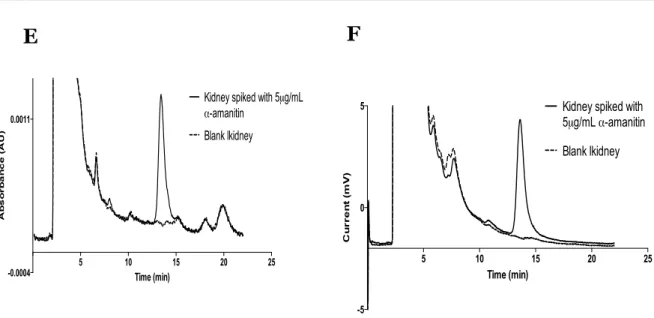Figure 2. Representative chromatograms recorded at 305nm (A) of blank 5% perchloric  acid and 5% perchloric acid spiked to contain 5 µg.mL -1  of α-amanitin; (B) blank liver, and  liver sample spiked to contain 5 µg.mL -1  of  α-amanitin and (C) blank kidn