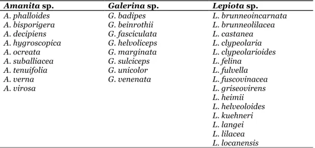 Table 1. Amatoxin-containing mushroom species from the genera Amanita,  Galerina and  Lepiota  