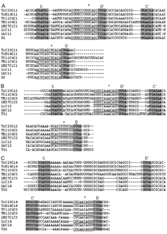 Fig. 1: CLUSTAL W multiple sequence alignment of C/D Cl-small nu- small nu- nu-cleolar  RNAs  (snoRNAs)  from  different  trypanosomatid  species