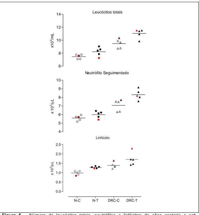 Figura  5  –  Número  de  leucócitos  totais,  neutrófilos  e  linfócitos  de  cães  controle  e  sob  tratamento  com  n-acetilcisteína  (10mg/kg,  V.O.,  b.i.d.,  durante  60  dias)