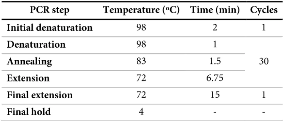 Table 2.2 - PCR program used for site-directed mutagenesis of PpcA. 