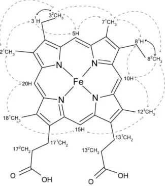 Figure 2.3 - Diagram of a heme c numbered according to the IUPAC-IUB nomenclature [12]