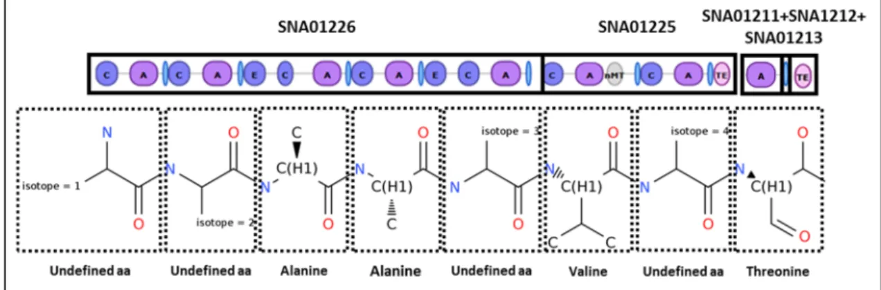 Figure  20  –  AntiSMASH  prediction  for  protein  domain  specificities  and  chemical  structure  of  the  S1C5  NRP
