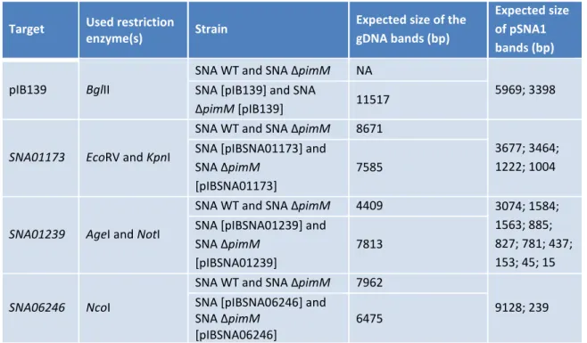Table 4 – Expected sizes for southern hybridization bands of the different S. natalensis (SNA) strains