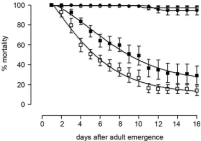 Fig. 1: daily mortality of control (circles) and triflumuron-surviving  (squares)  Aedes aegypti adults