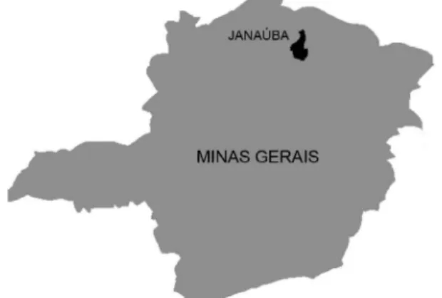 Fig.  1:  geographical  localization  of  Janaúba  in  the  state  of  Minas  Gerais, Brazil.