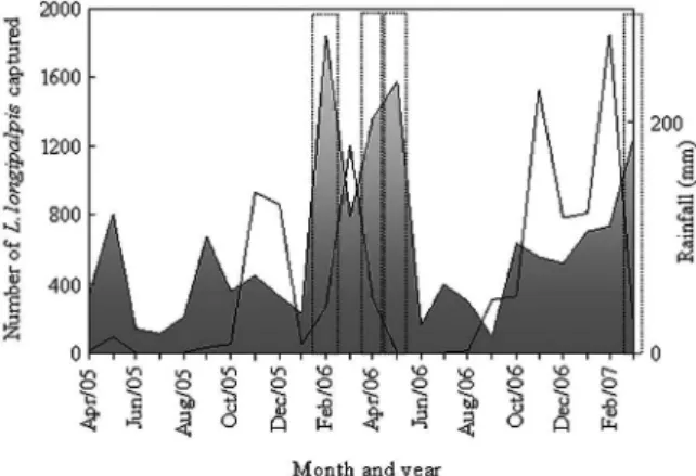 Fig. 4: populational density of Lutzomyia longipalpis in Janaúba, state  of Minas Gerais, Brazil (grey area), from April 2005-March 2007 and  local rainfall (continuous line) in the same period