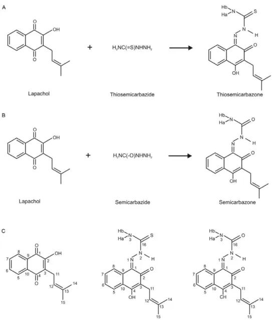 Fig. 1: synthesis of lapachol thiosemicarbazone and semicarbazone and structures of lapachol (A), lapachol derivatives thiosemicarbazone (B)  and semicarbazone (C).