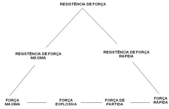 Figura 2 - As relações intercambiais das três formas da força ( Weineck, 1999 )