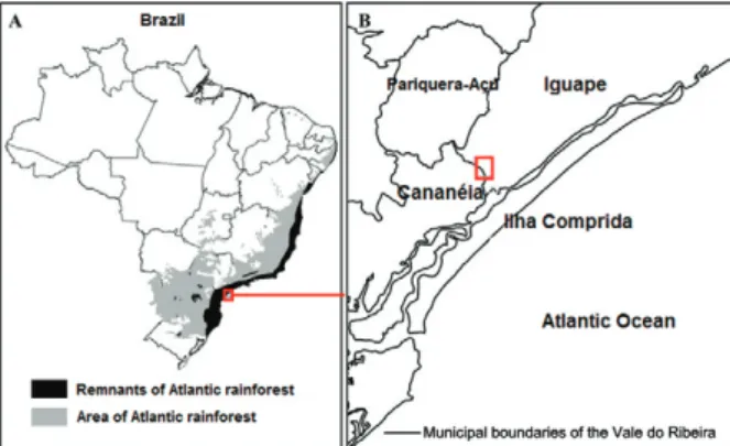 Fig. 1: location of collection area in the municipality of Iguape, state  of São Paulo, Brazil, 2012.