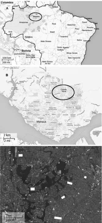 Fig.  1:  maps  of  the  study  area.  A:  Brazil  with  the  localisation  of  Manaus, state of Amazonas, indicated by a black circle; B: the  neigh-bourhood of Cidade Nova, in Manaus, indicated by a black circle; C: 