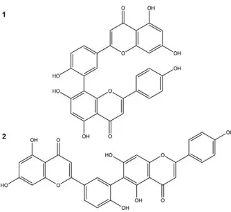 Fig. 1: compounds isolated from Selaginella sellowii: amentoflavone  (1) and robustaflavone (2).