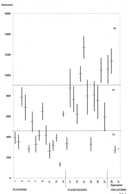 Fig. 1. Representación gráfica del valor de la media y desviación standard del volumen nuclear de las lagunas óseas medidas en fósiles del género Ceratophrys,  en correspondencia con el nivel estratigráfico donde fueron hallados