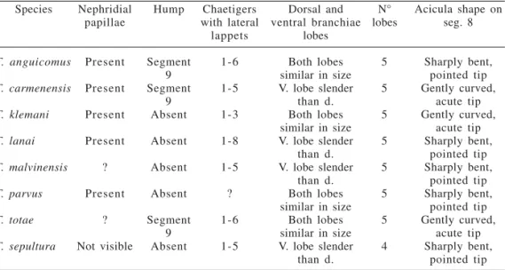 Table I. Characters of species of Terebellides from the Gulf of Mexico and from Brazilian and Argentinean coasts