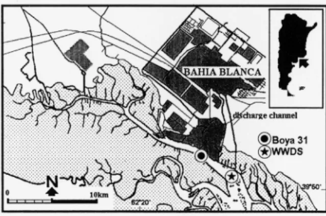 Fig. 1. Bahía Blanca estuary showing the sampling stations: