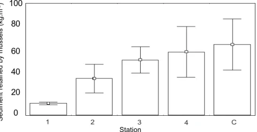 Fig. 2. Mean (± sd) of sediments among mussels (kg.m -2 ) in each sampling station.