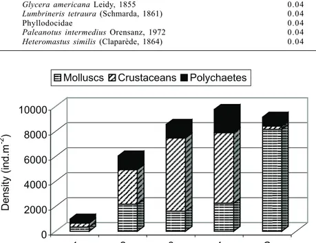 Table I. Polychaetes and their dominance (%) in the intertidal mussel beds of the mytilid Brachidontes rodriguezii community in the Mar del Plata shore, Argentina, during 1997