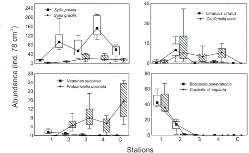 Fig. 5. Abundance (black dot represents the median value, box represents the 25 and 75% percentiles, and the bar 10 and 90 % percentiles) of the main polychaete species associated to the intertidal community of the mytilid Brachidontes rodriguezii